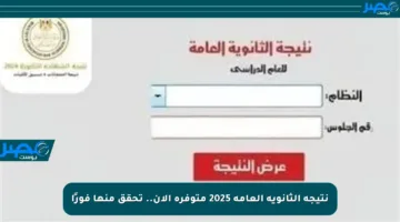 نتيجة الثانوية العامة 2025 متوفرة الآن.. تحقق منها فورًا